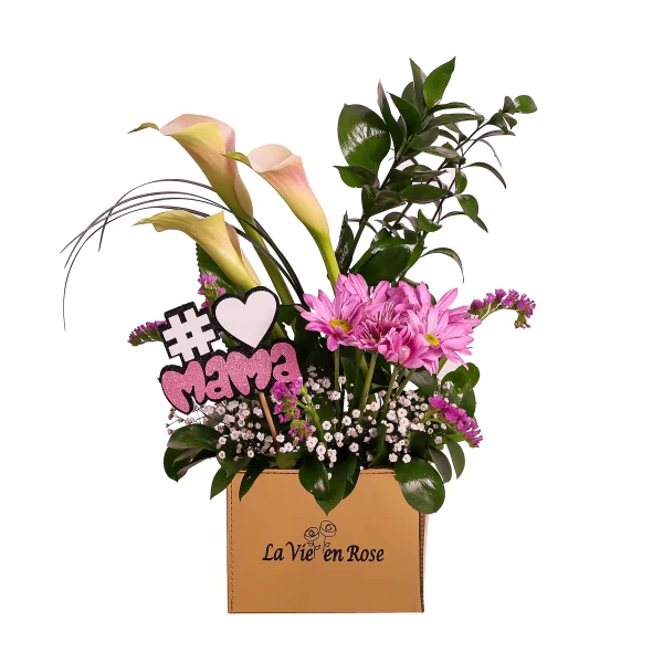 Mother`s Day 6