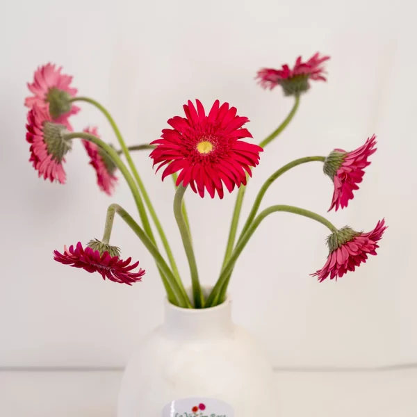 vase flowers 15
