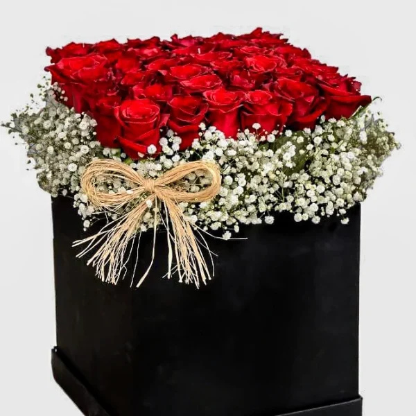 Valentine 1